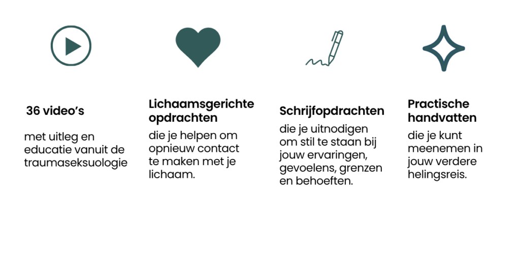 online training Traumaseksuologie